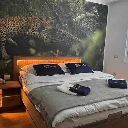 Διαμέρισμα Teuta- Luxury Penthouse 200m2 *